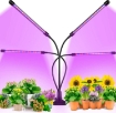 Picture of Grow Light For Plants, Full Spectrum LED Plant Grow Light, 4-Head Indoor Growing Lamp for House Plants, 3/9/12H Timer Auto On/Off & 3 Switch Modes