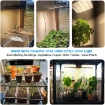 Picture of 600W LED Grow Light Dimmable, 2023 Best LED Grow Lights for Indoor Plants Full Spectrum, Plant Growing Lamps for Seed Starting Seedlings Vegetables, Daisy Chain Function, Quiet Built-in Fan