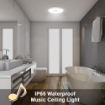 Picture of LED Ceiling Lamp 8.66 inch Bathroom Light with Remote Control, Bluetooth Speaker Ceiling Lamp IP65 Waterproof