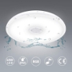 Picture of LED Ceiling Lamp 8.66 inch Bathroom Light with Remote Control, Bluetooth Speaker Ceiling Lamp IP65 Waterproof