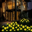 Picture of Solar Lights Outdoor Garden, Garden Light Solar Powered with 8 Rose Flowers Garden Ornaments, 2 Pack Yellow Outside Waterproof Solar Garden Lighting