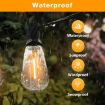 Picture of  24FT Garden Patio String Lights, Mains Powered, Warm White 2200K LED, Waterproof ST38 Bulbs